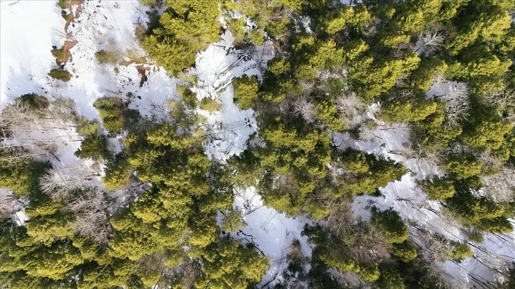 3 Hummingbird Lane Waitsfield VT 05673