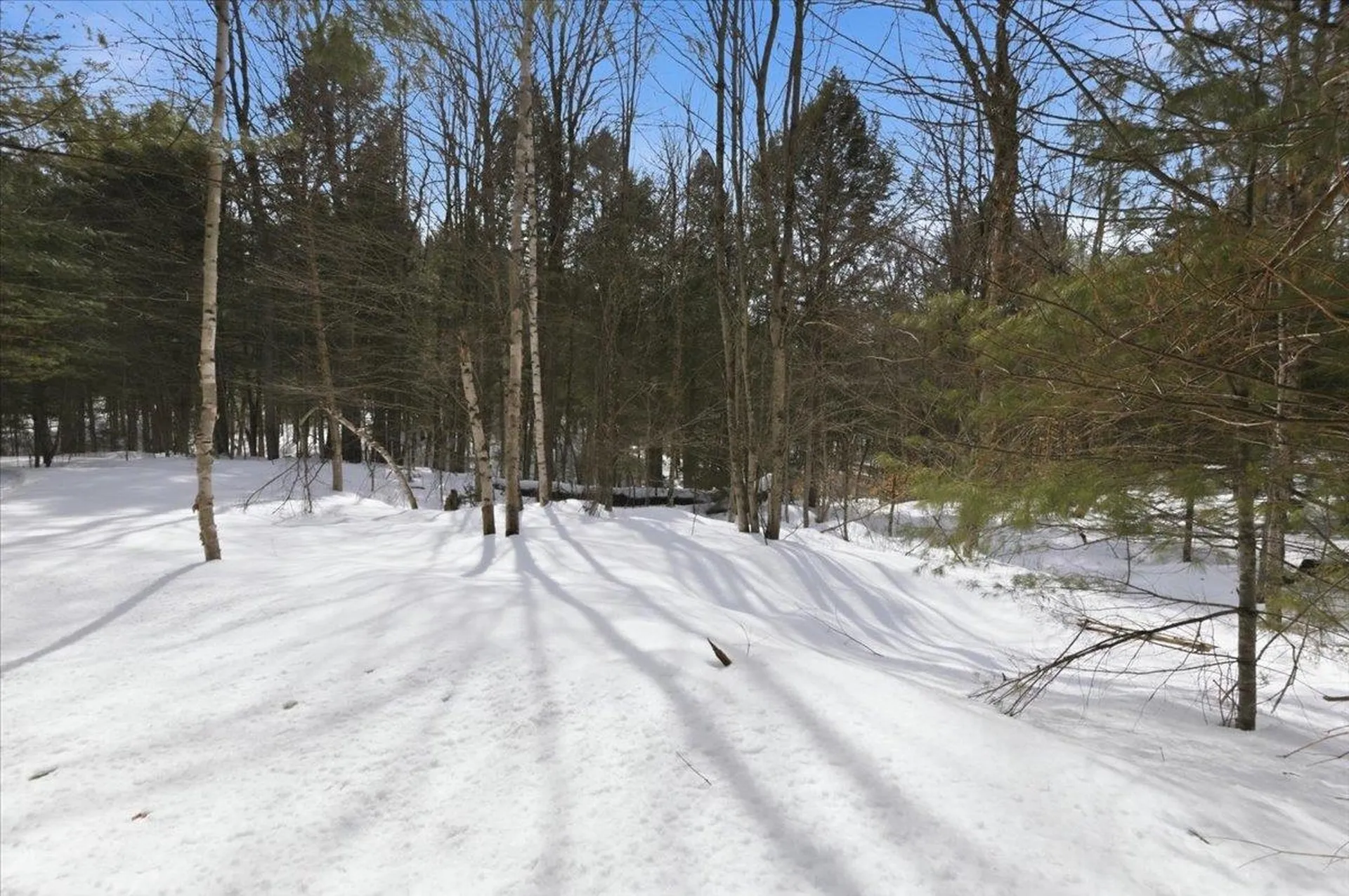 3 Hummingbird Lane Waitsfield VT 05673