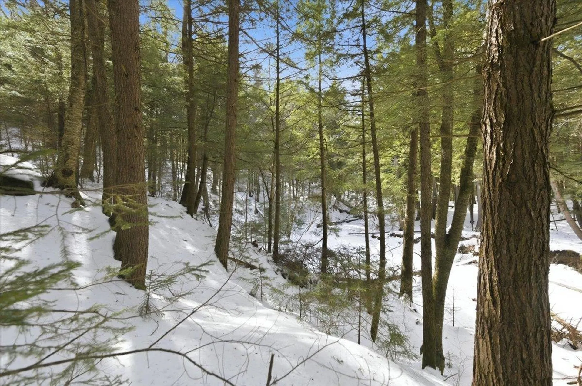 3 Hummingbird Lane Waitsfield VT 05673