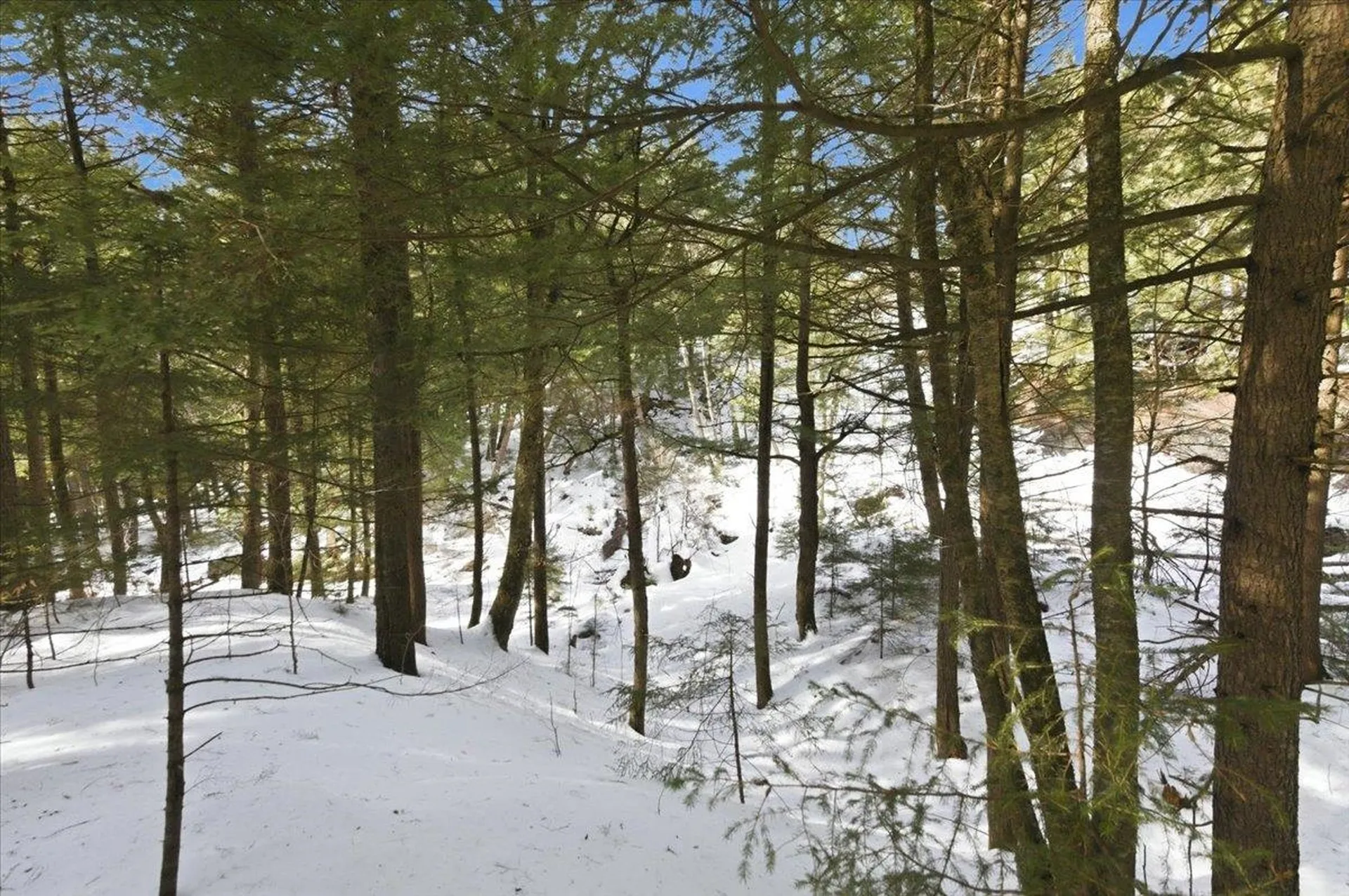 3 Hummingbird Lane Waitsfield VT 05673