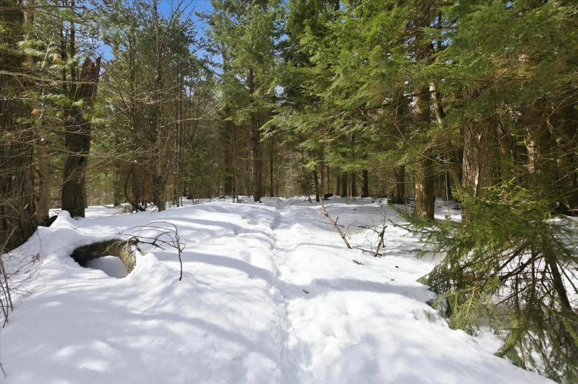 3 Hummingbird Lane Waitsfield VT 05673