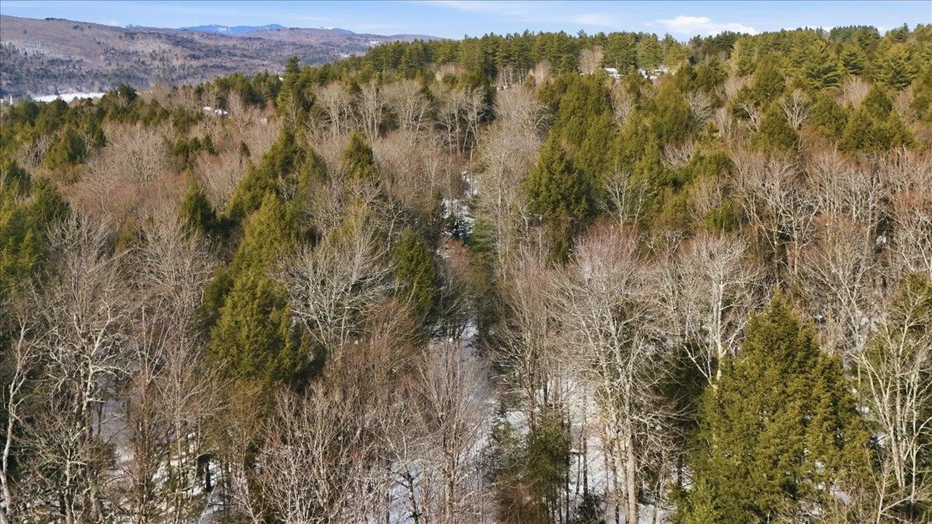 3 Hummingbird Lane Waitsfield VT 05673