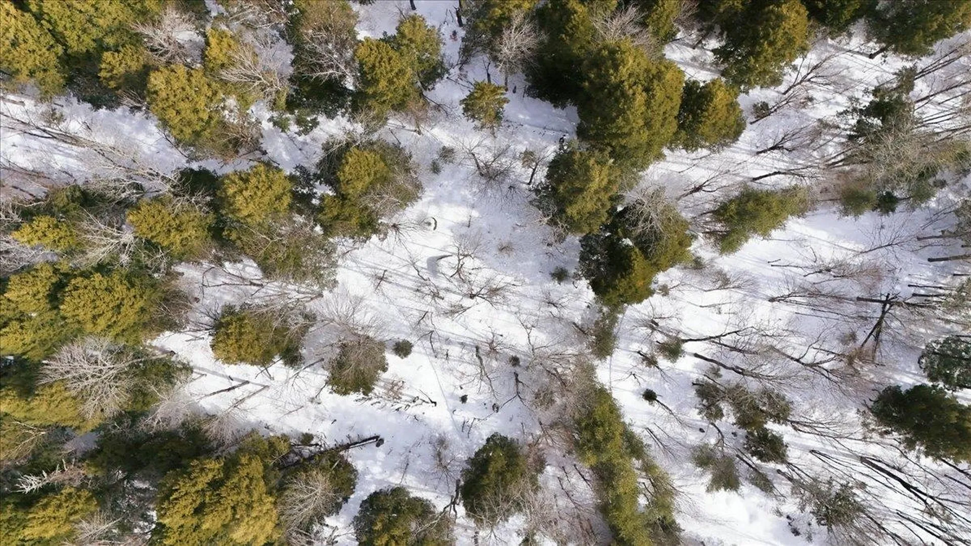 3 Hummingbird Lane Waitsfield VT 05673