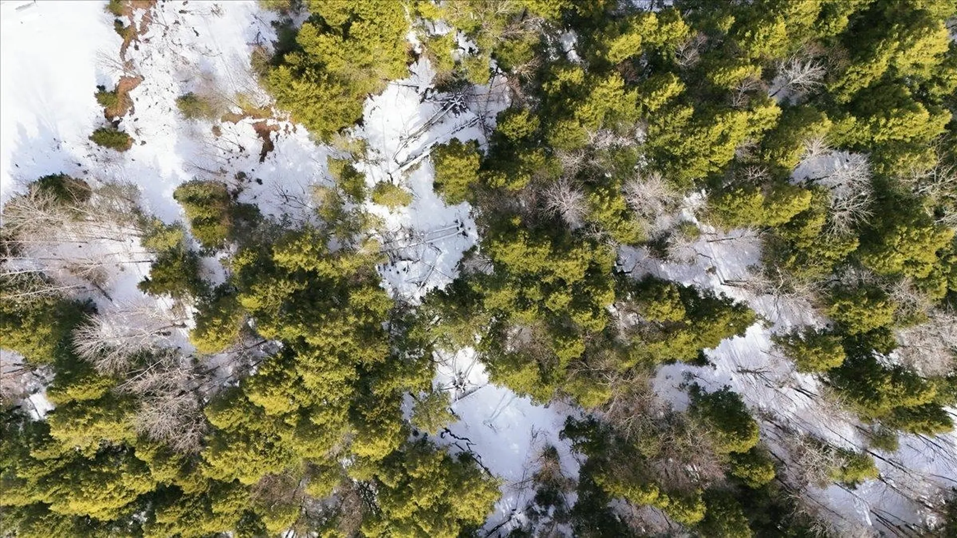 3 Hummingbird Lane Waitsfield VT 05673