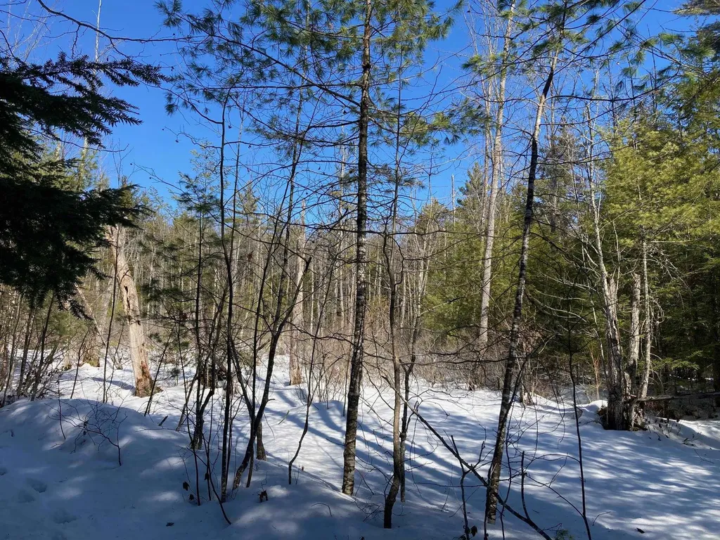 0 Henderson Road Conway NH 03818