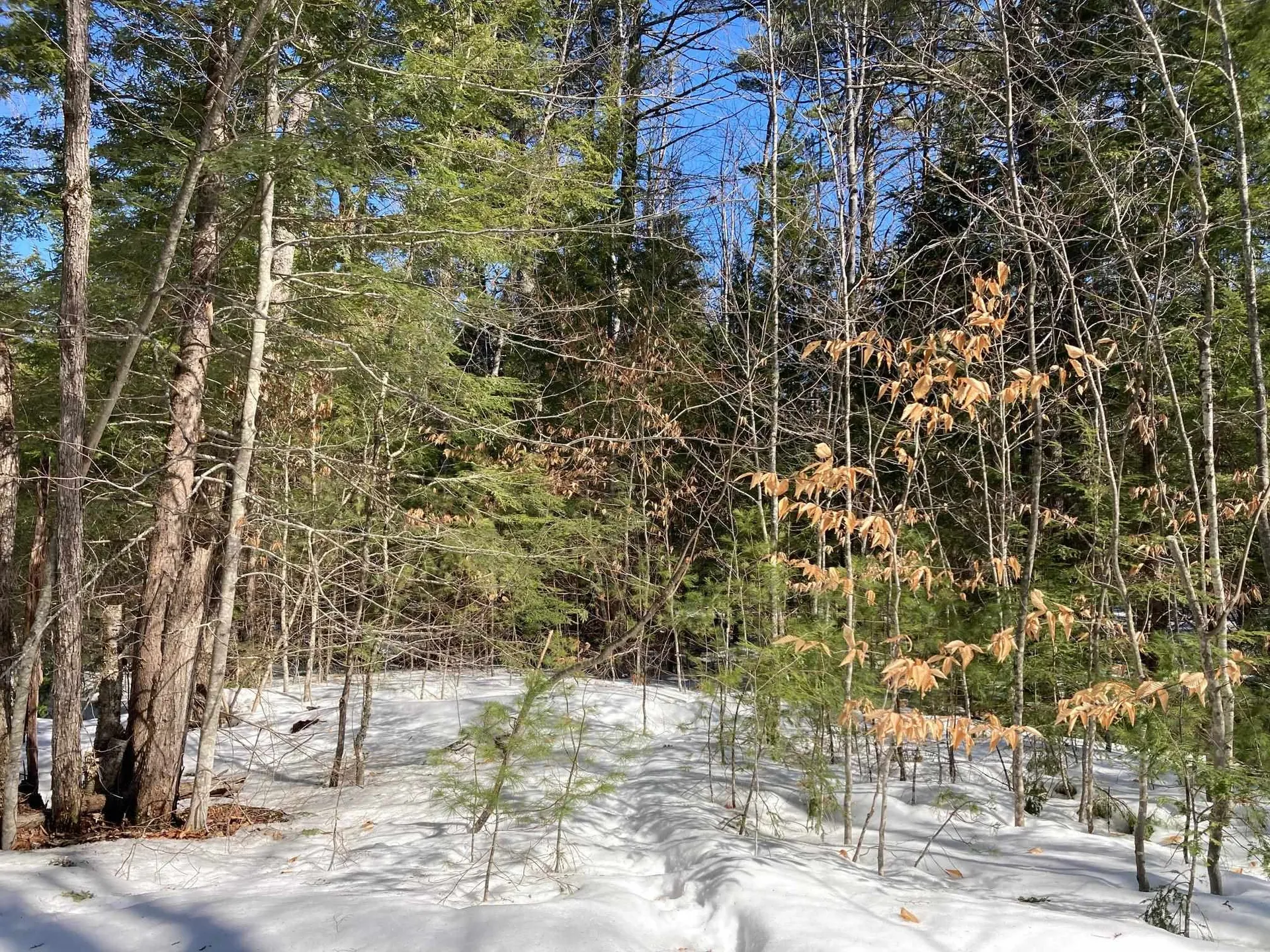 0 Henderson Road Conway NH 03818