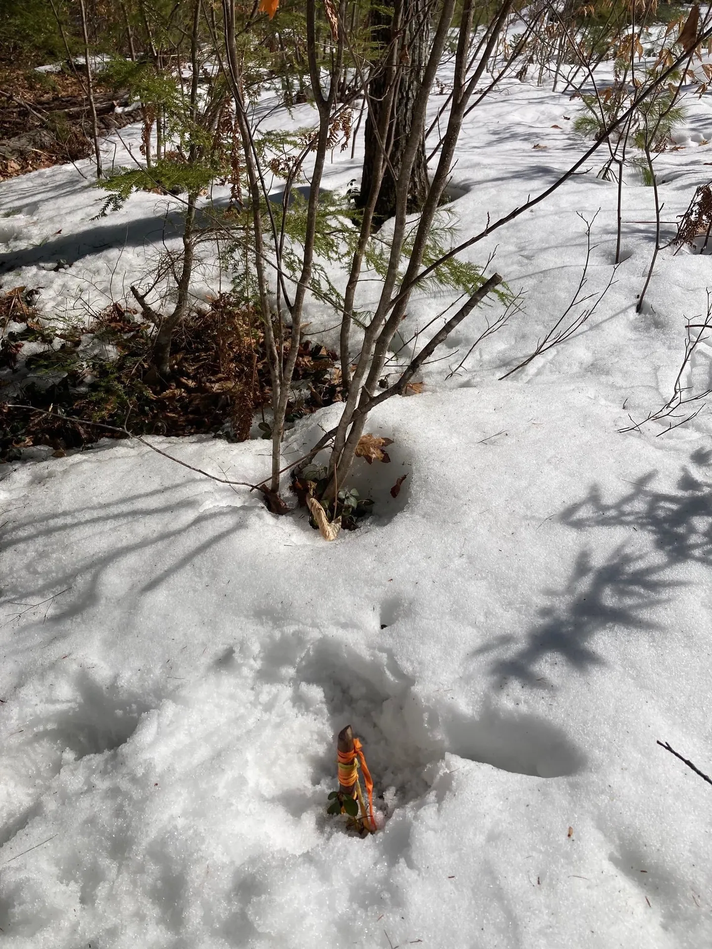 0 Henderson Road Conway NH 03818