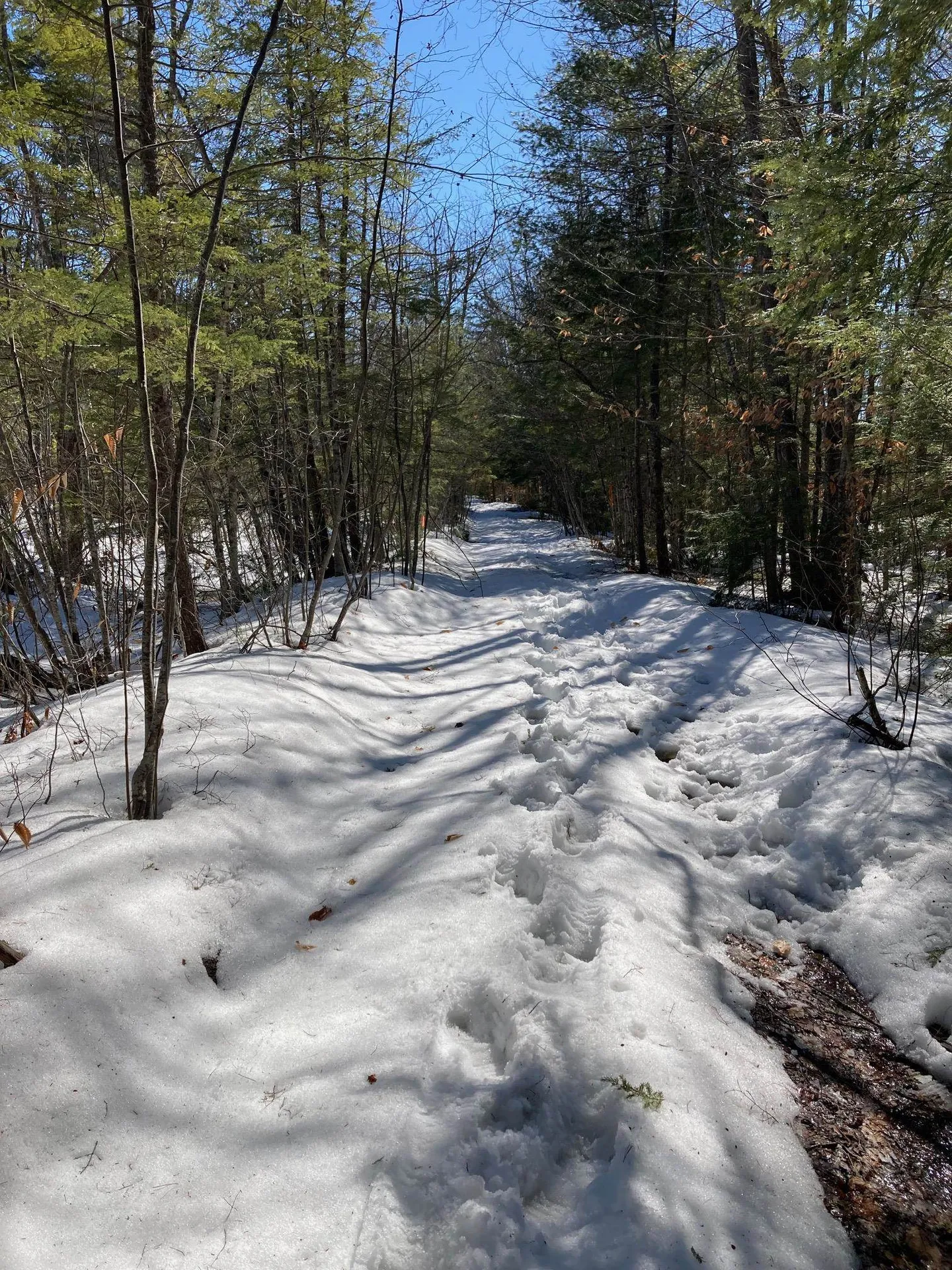 0 Henderson Road Conway NH 03818