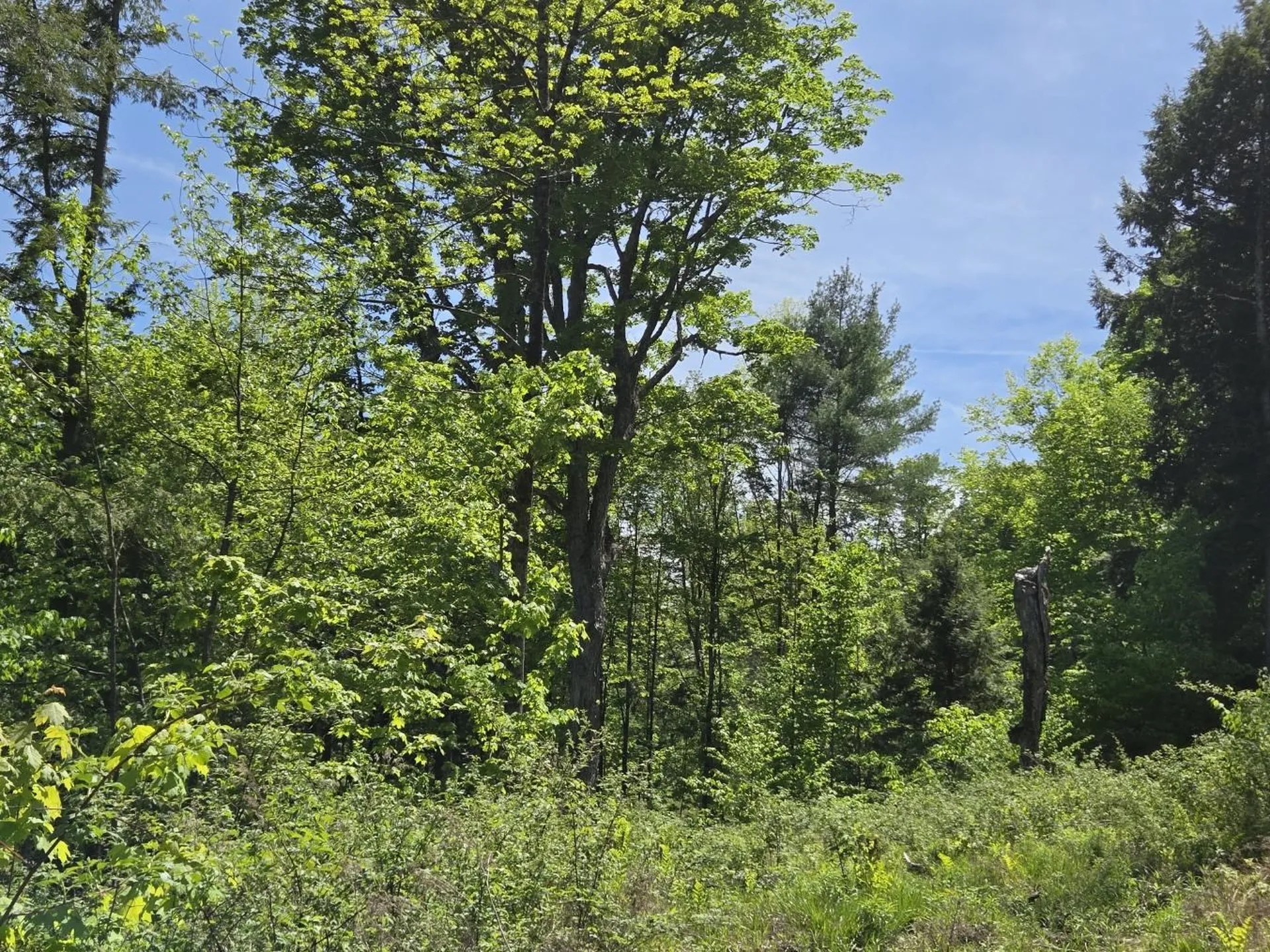 00 Vt Route 12 Barnard VT 05031