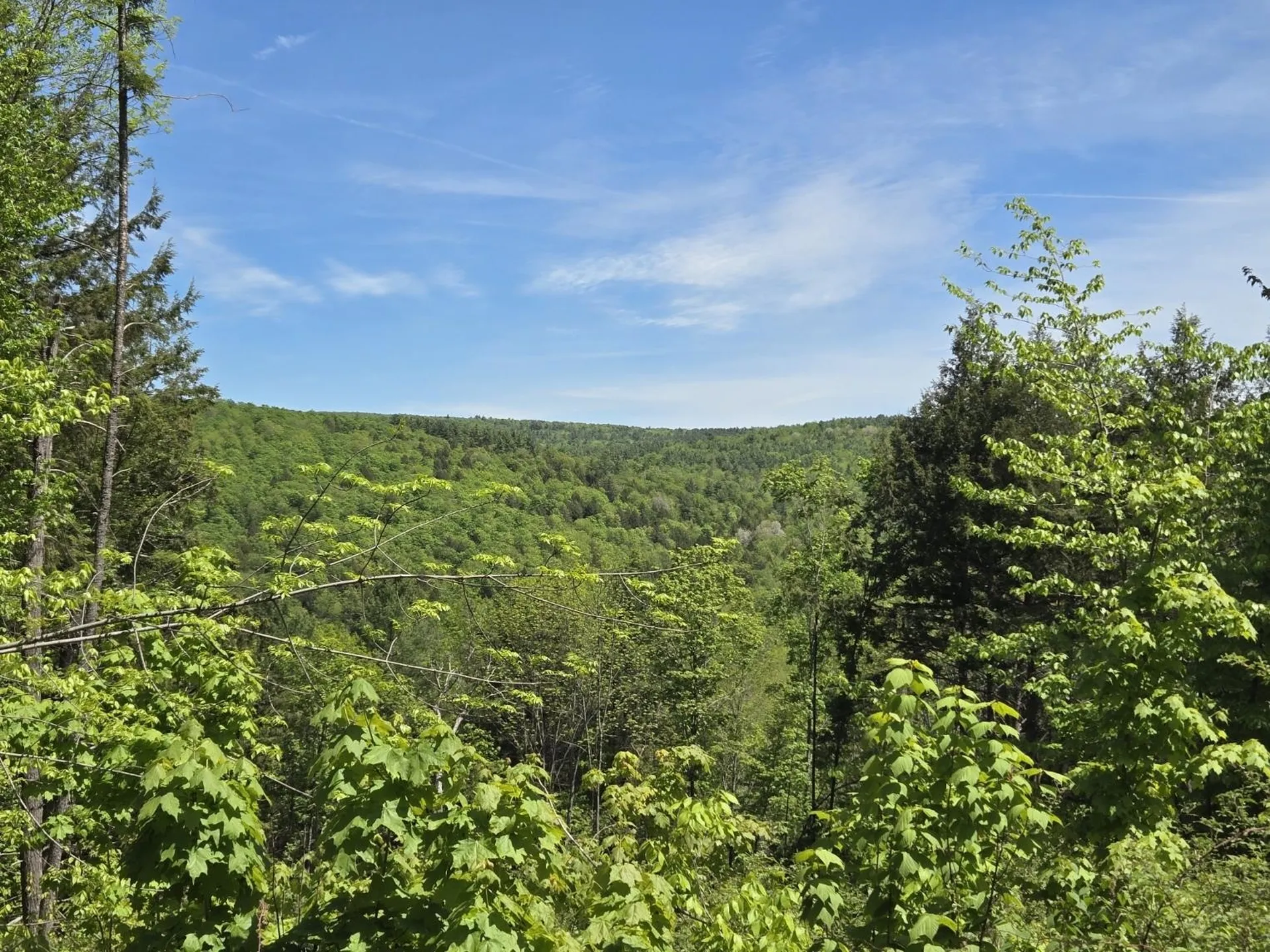 00 Vt Route 12 Barnard VT 05031