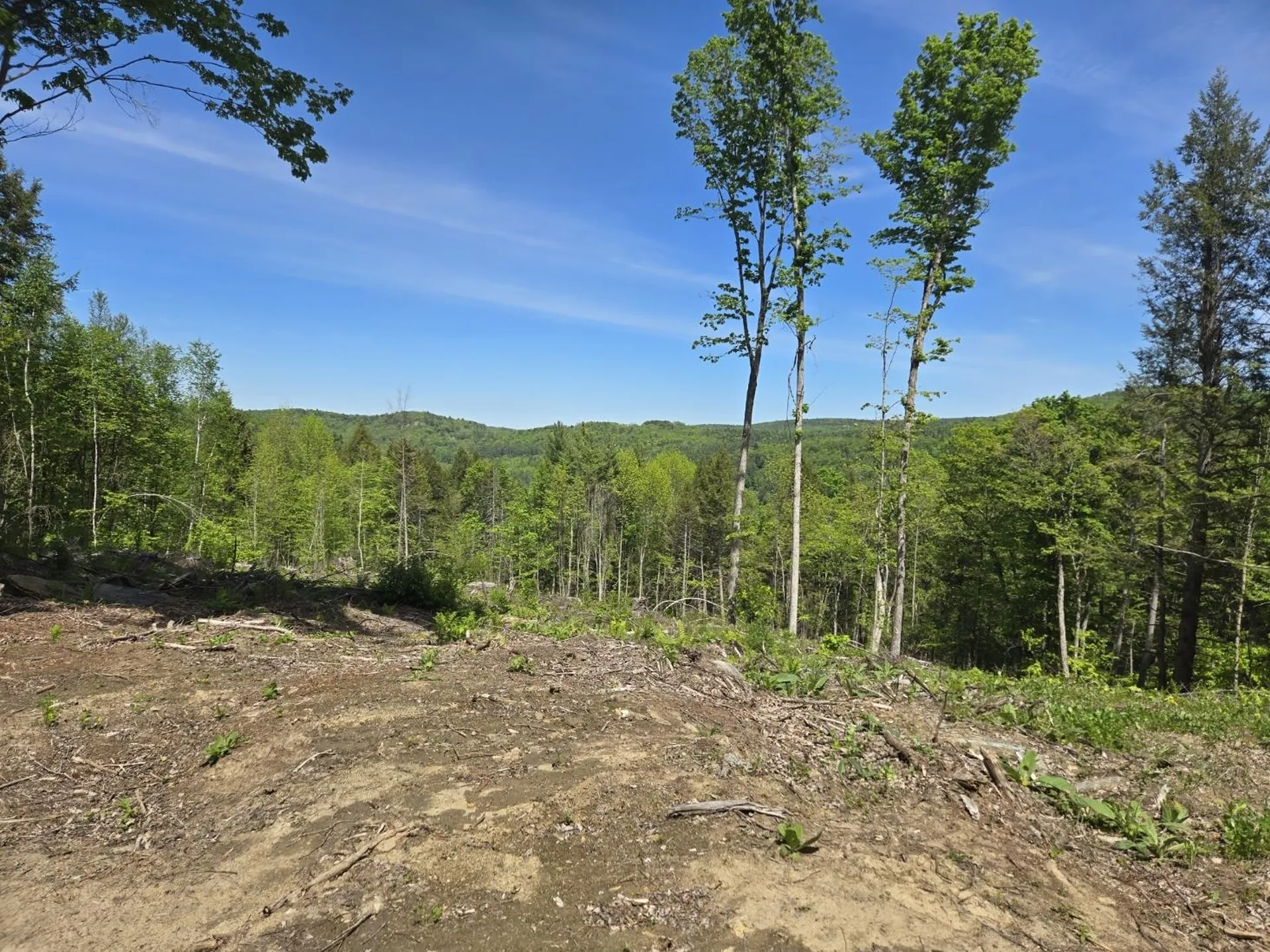 00 Vt Route 12 Barnard VT 05031