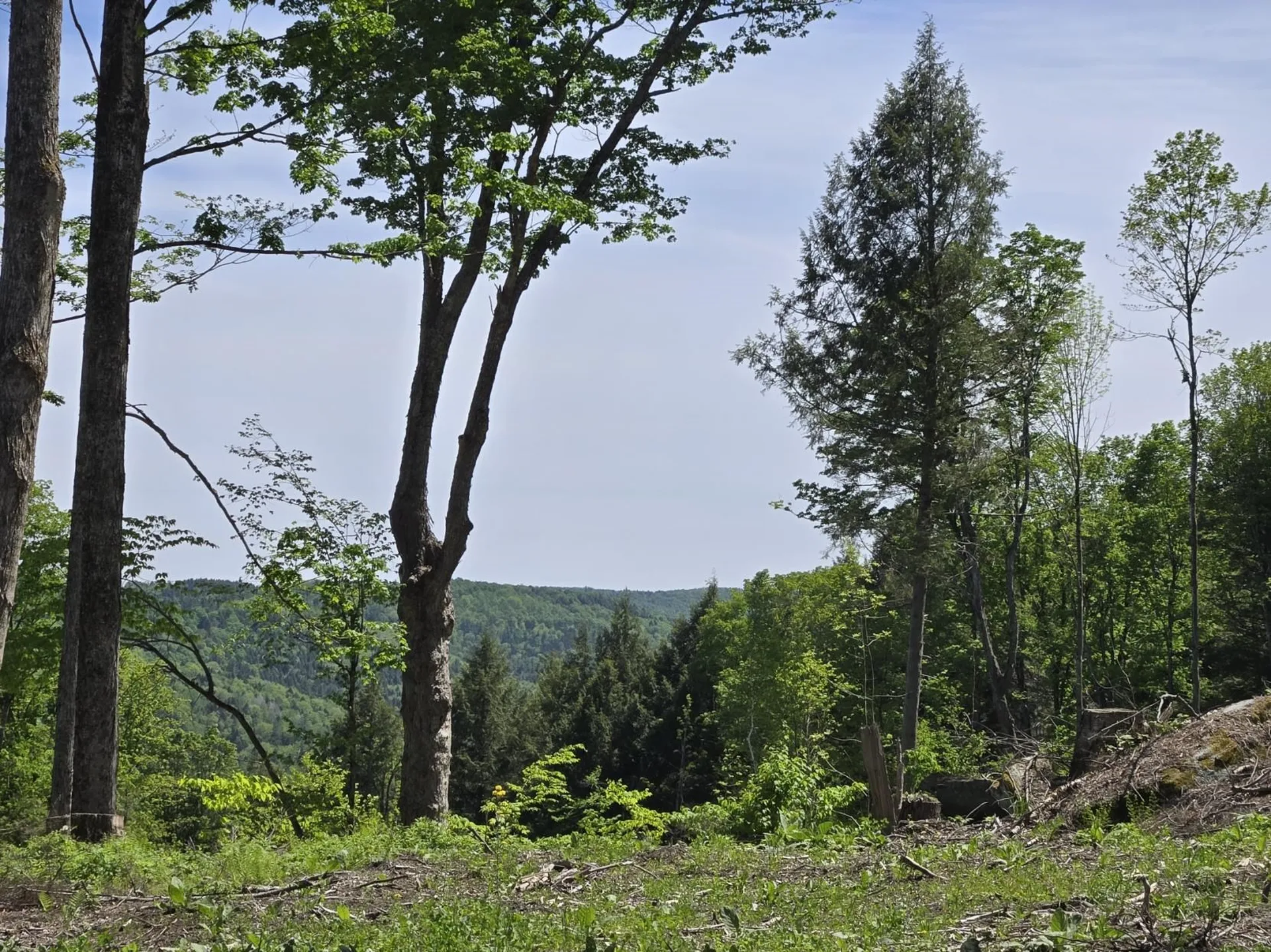00 Vt Route 12 Barnard VT 05031