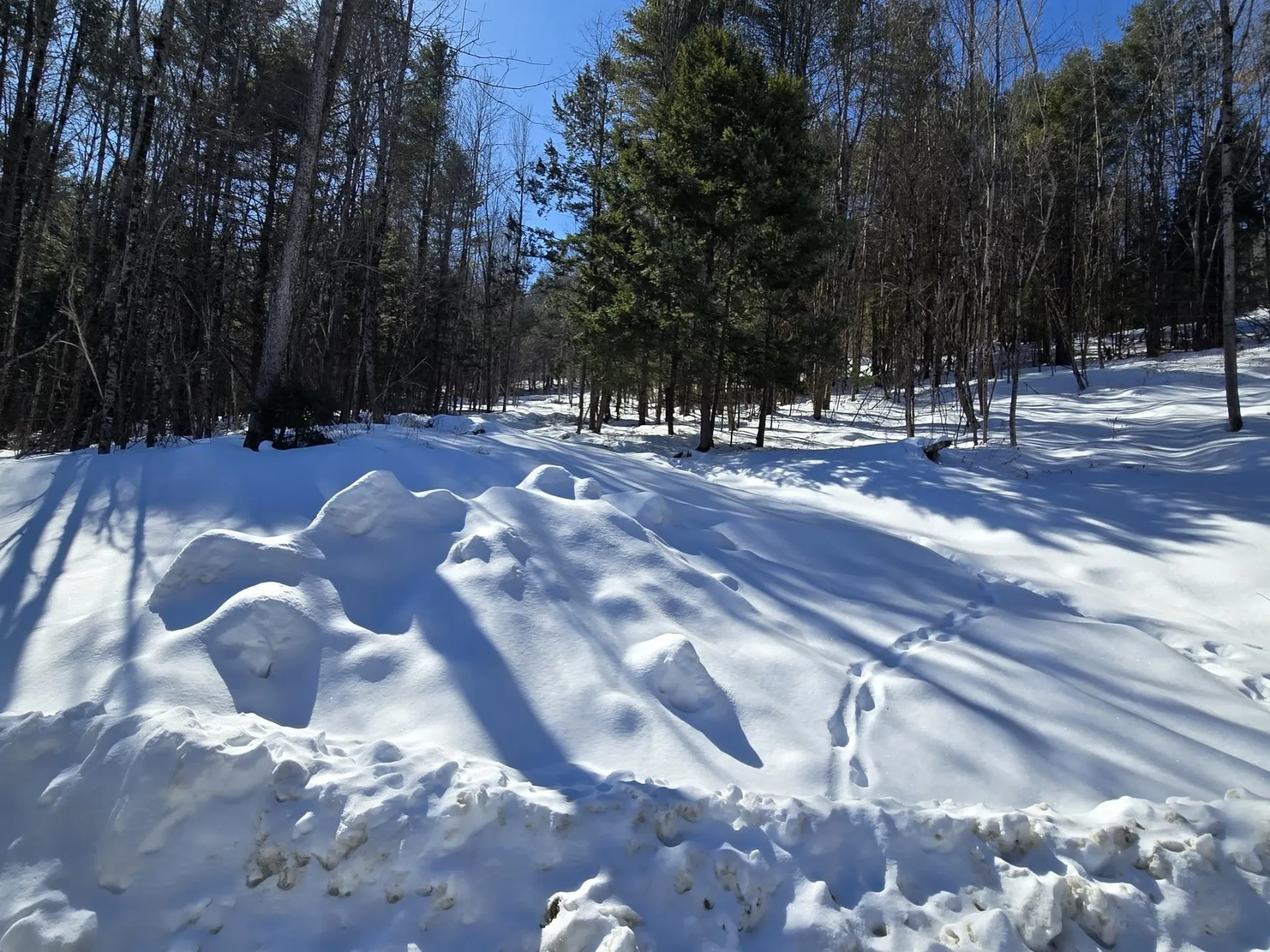 00 Vt Route 12 Barnard VT 05031