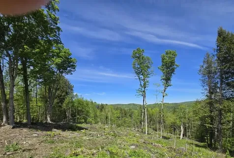 00 Vt Route 12 Barnard VT 05031