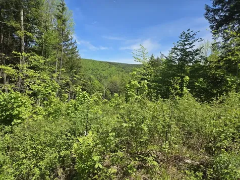 00 Vt Route 12 Barnard VT 05031