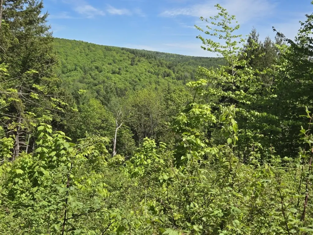 00 Vt Route 12 Barnard VT 05031