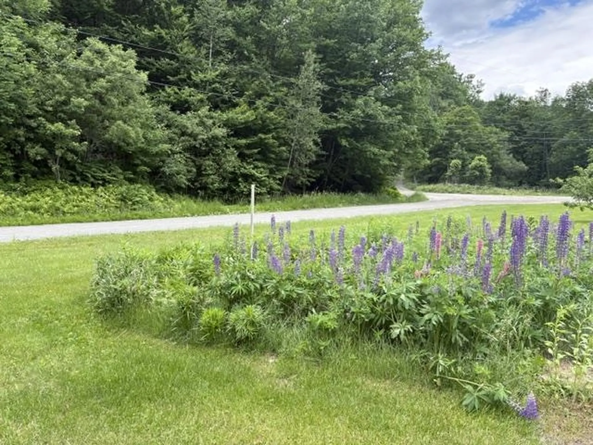 1821 Chateauguay Road Barnard VT 05031