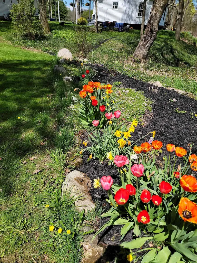 896 East Road Colchester VT 05446