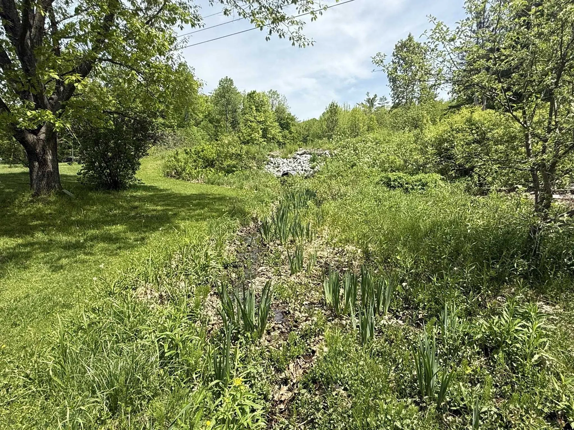68 Gilbert Road Woodbury VT 05681