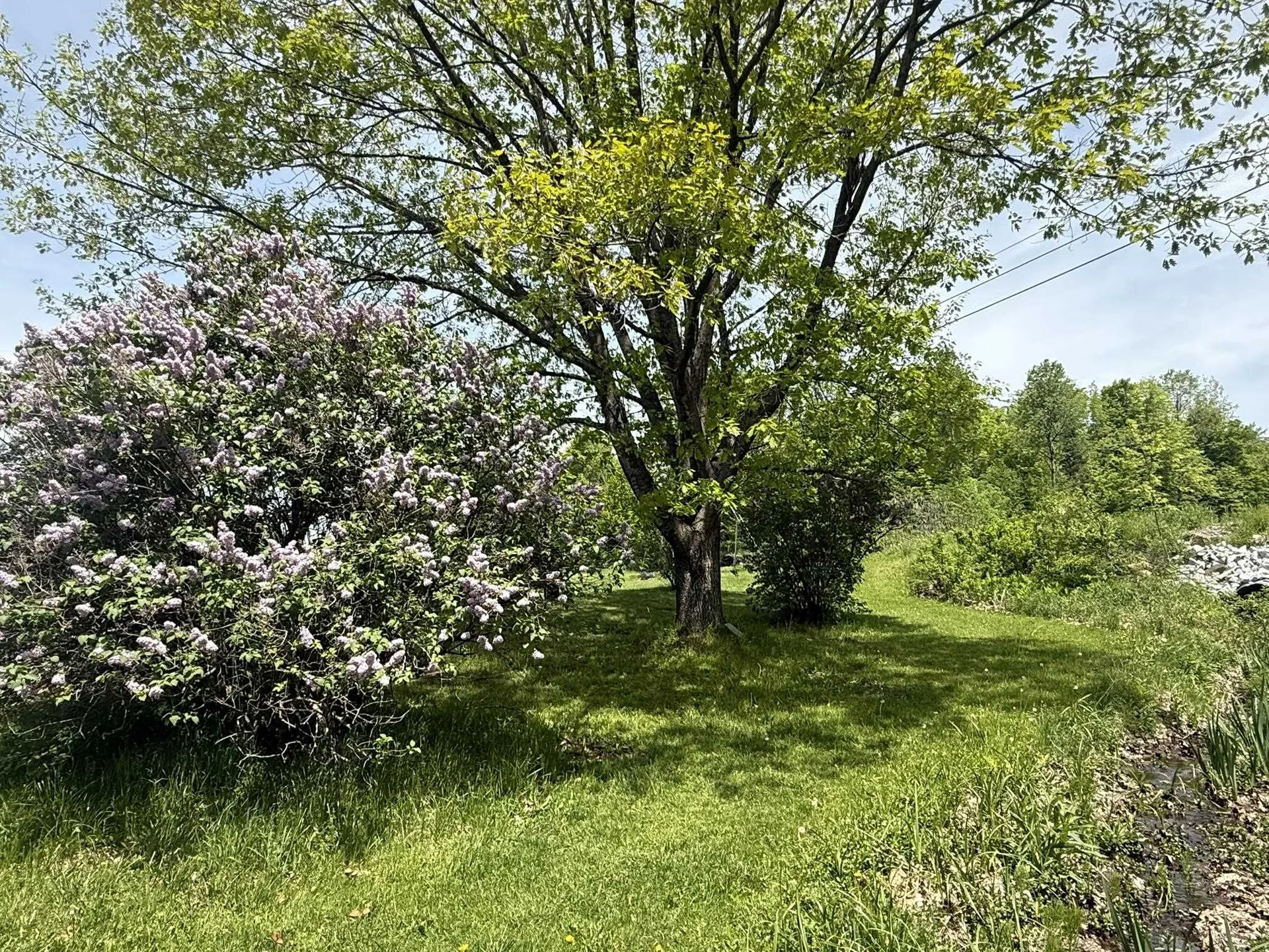 68 Gilbert Road Woodbury VT 05681