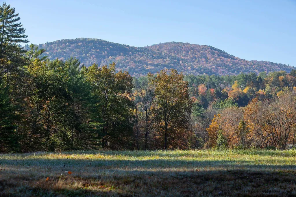 199 Turkey Mountain Road Jamaica VT 05343