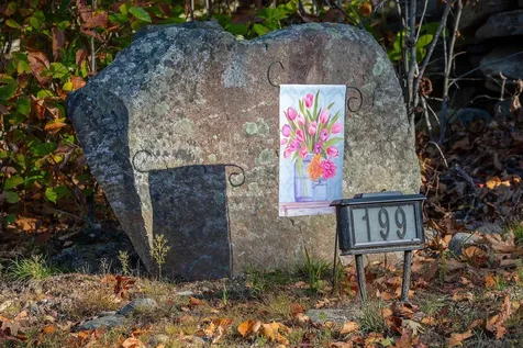 199 Turkey Mountain Road Jamaica VT 05343