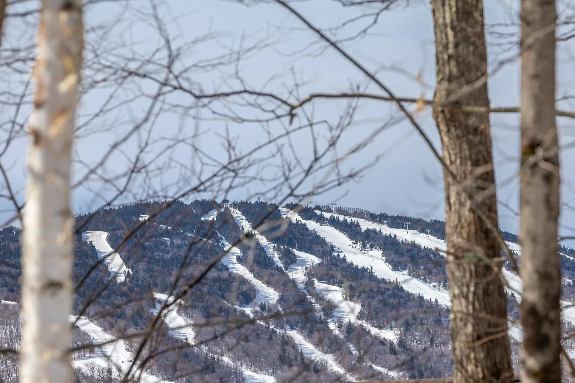 3 Linscott Road Winhall VT 05340