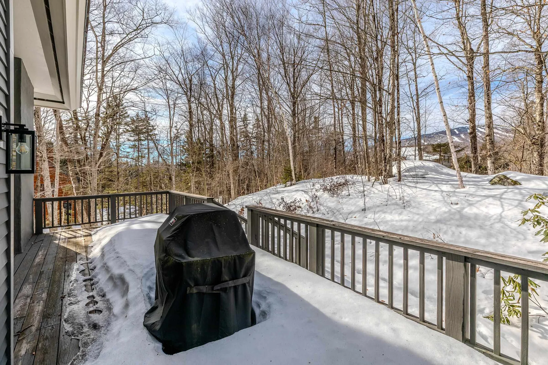 3 Linscott Road Winhall VT 05340