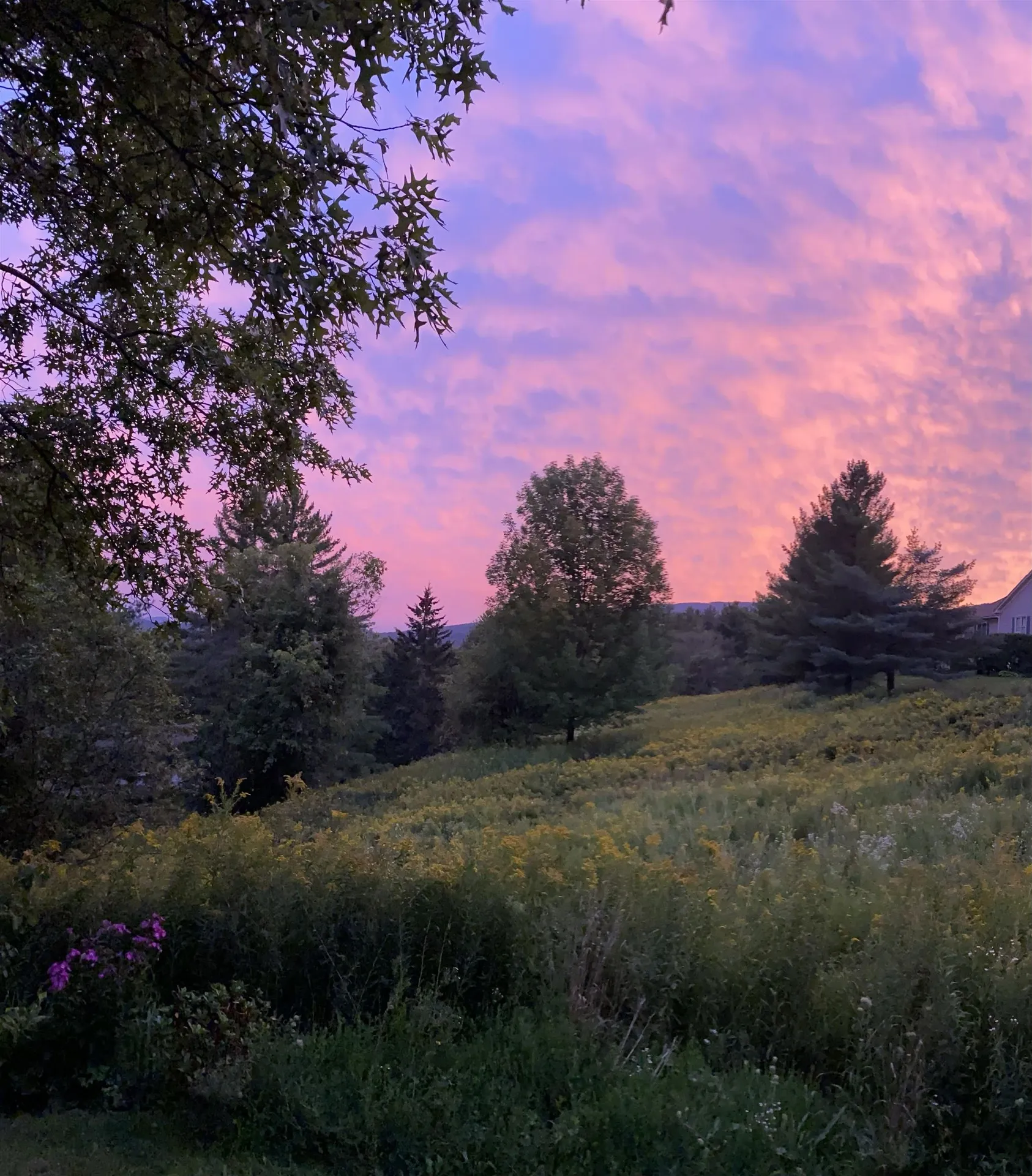 506 Acorn Drive Waterbury VT 05676