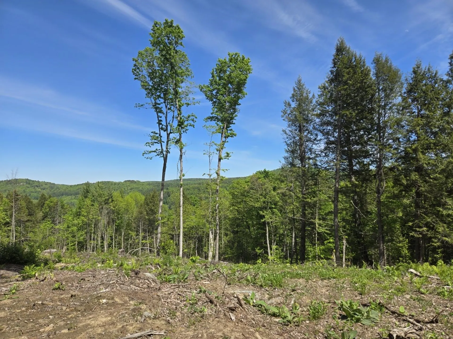 00 Vt Route 12 Barnard VT 05031