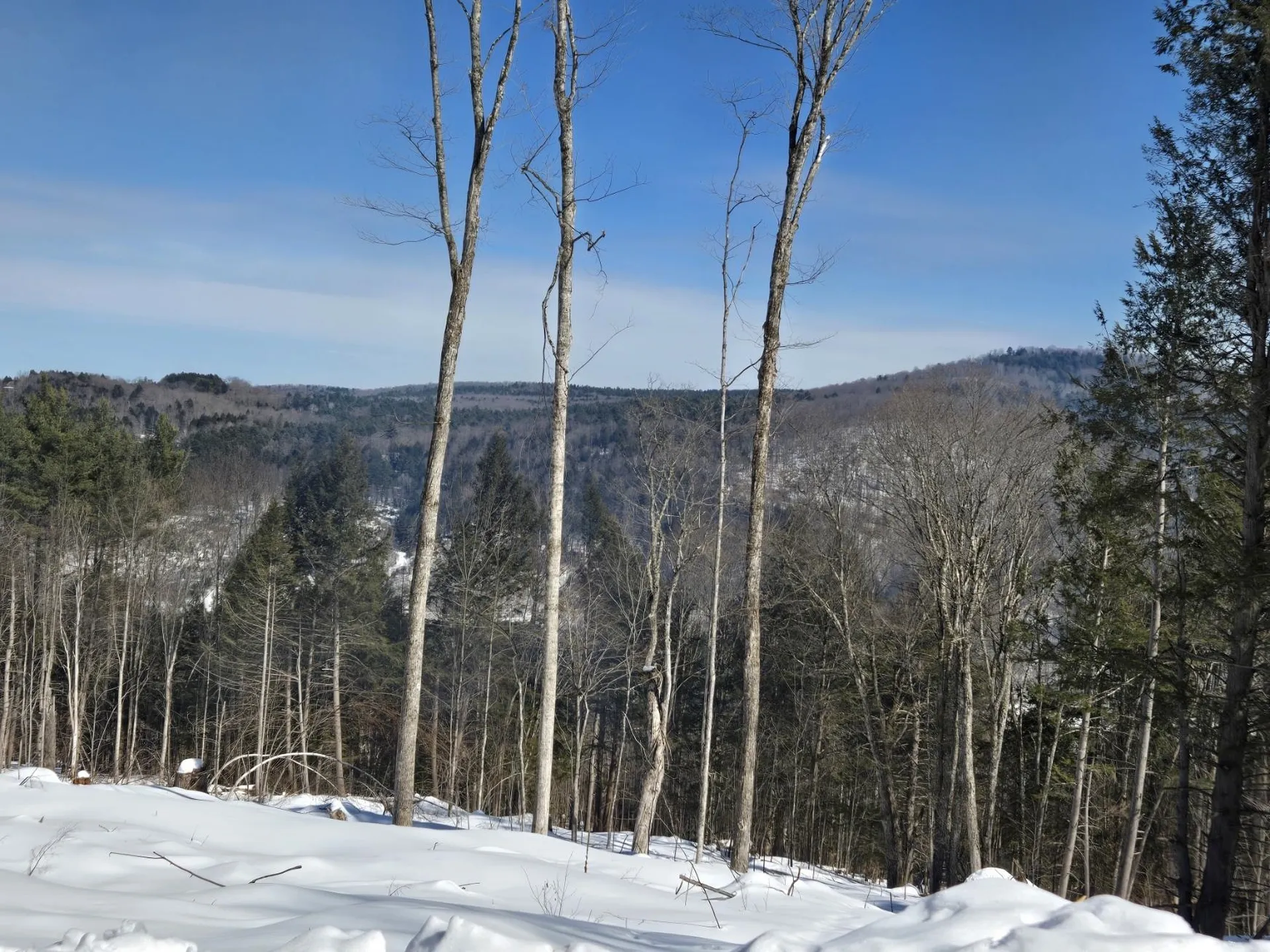 00 Vt Route 12 Barnard VT 05031