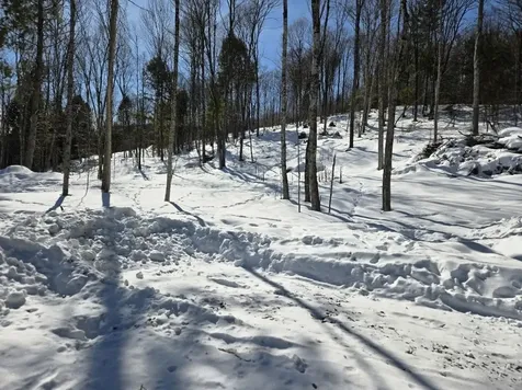 00 Vt Route 12 Barnard VT 05031