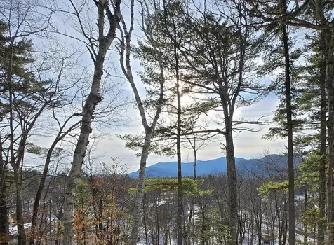 00 Moat Mountain Circle Bartlett NH 03845