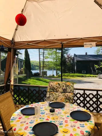 11 Indian Point Road Croydon NH 03773