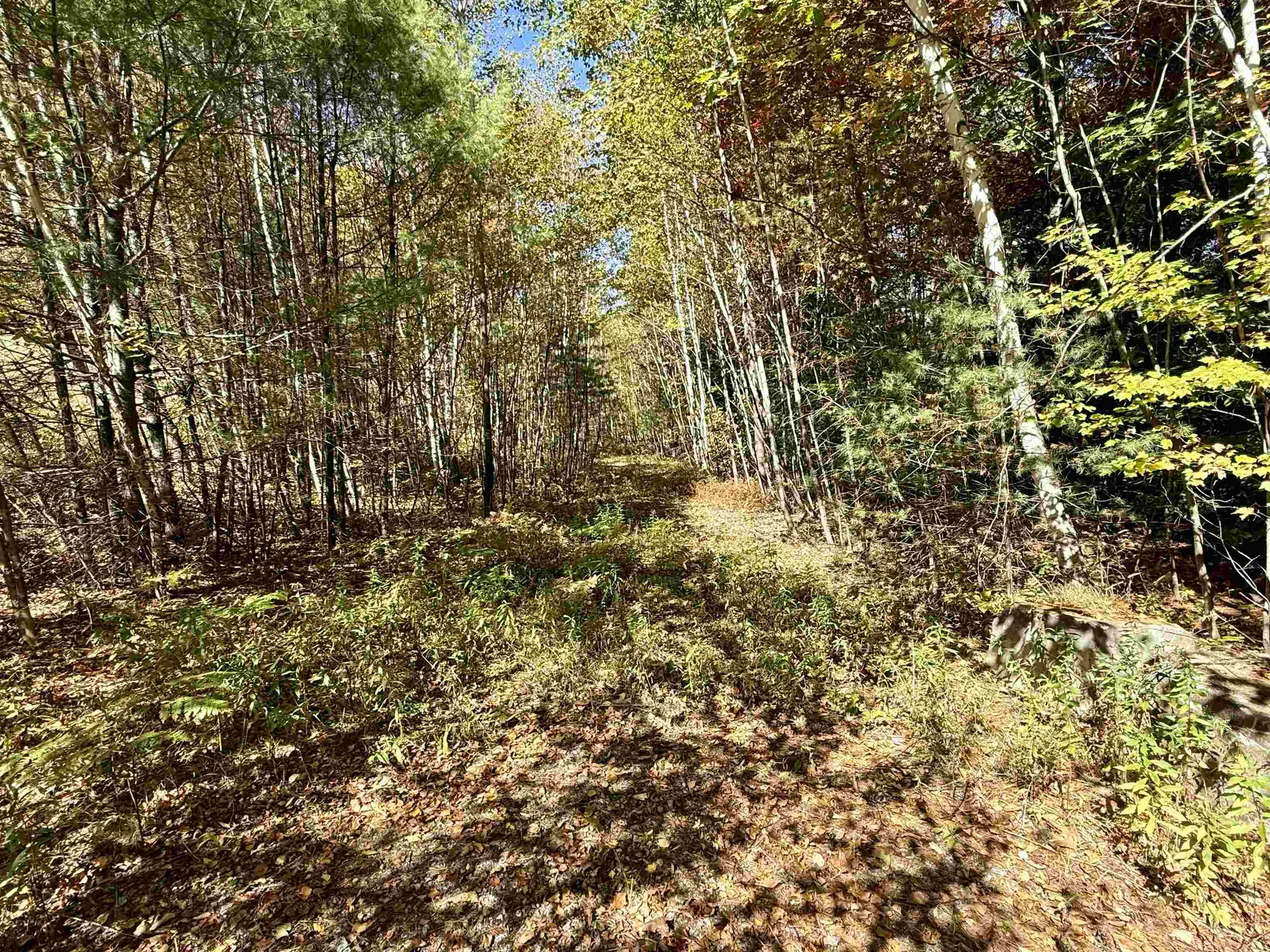 85 Pike Hill Road Newport NH 03773