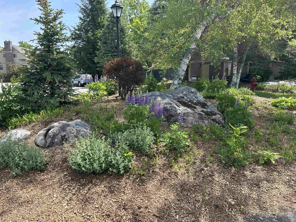 49 High Point Drive Stratton VT 05155