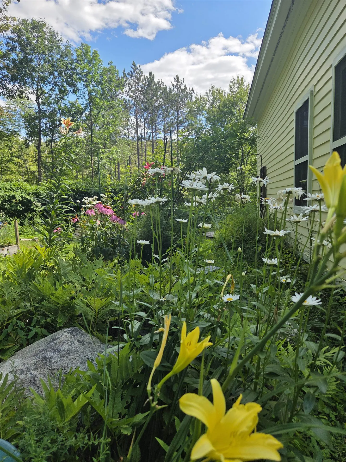371 Burton Highway Wilton NH 03086