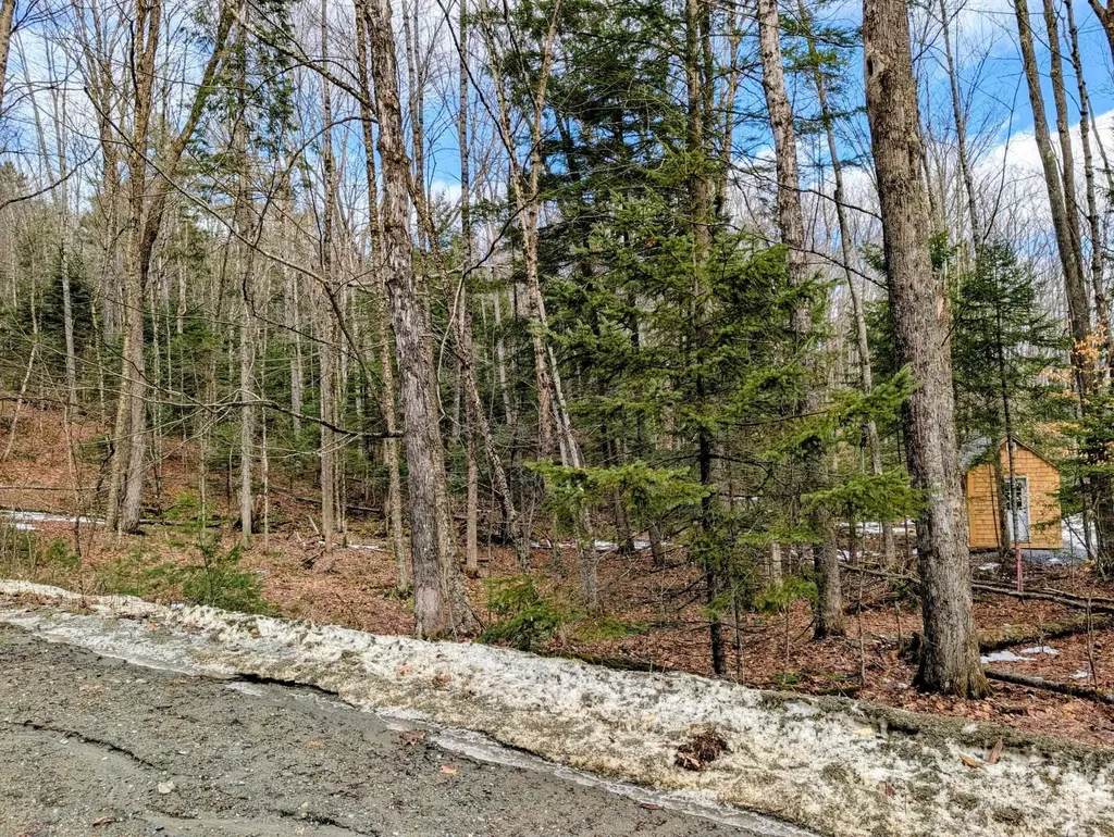 Lot 258 Kearsarge Drive Haverhill NH 03785
