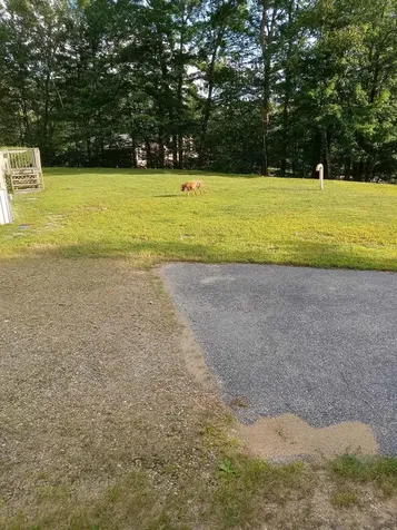 28 Willow Terrace Loudon NH 03307