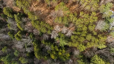 138 Shepardson Hollow Road Fairfax VT 05454