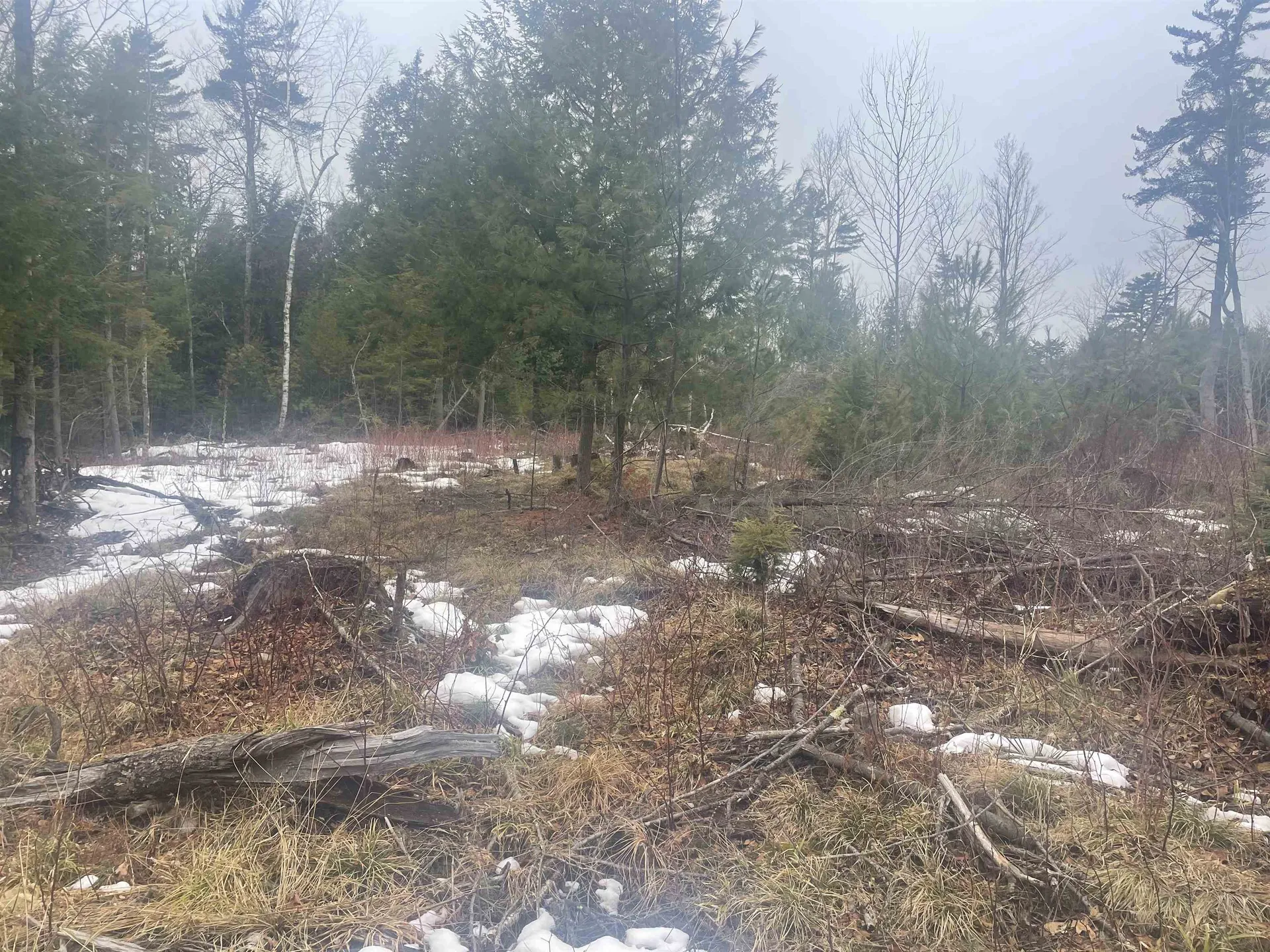 46 #1 Benton Road Haverhill NH 03774