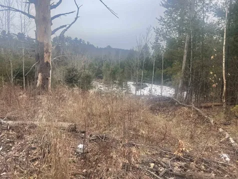 46 #1 Benton Road Haverhill NH 03774