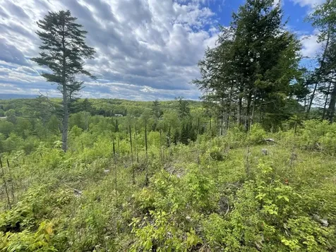 46 #1 Benton Road Haverhill NH 03774