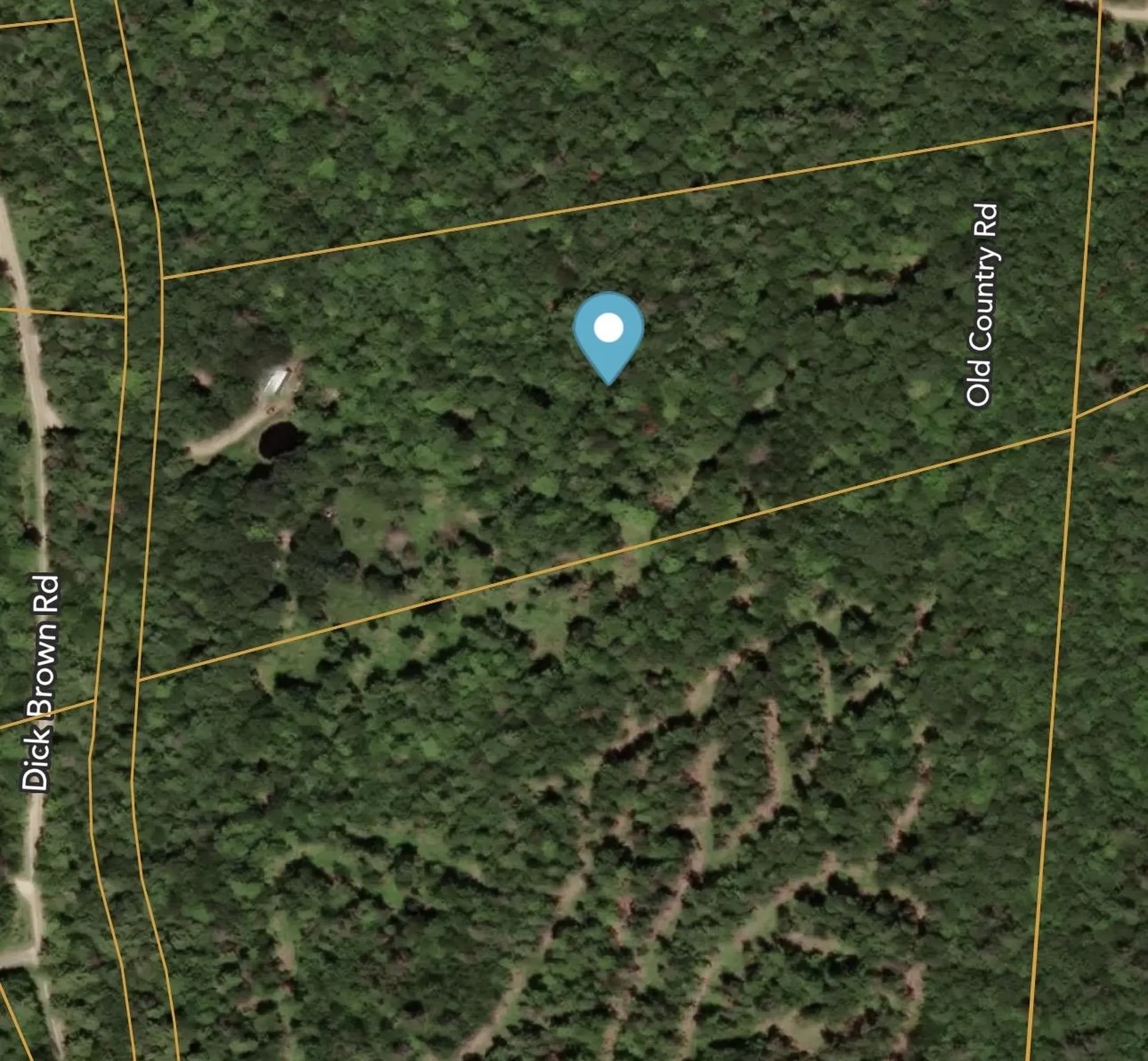 1850 Dick Brown Road Bridgewater NH 03222