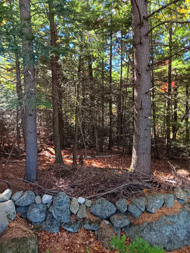 20-46 Dole School House Road Washington NH 03280