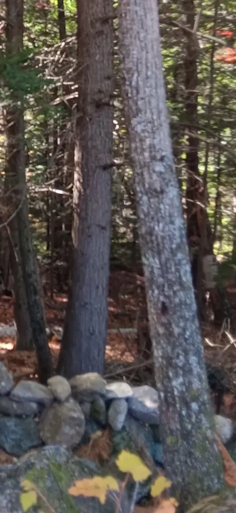 20-46 Dole School House Road Washington NH 03280