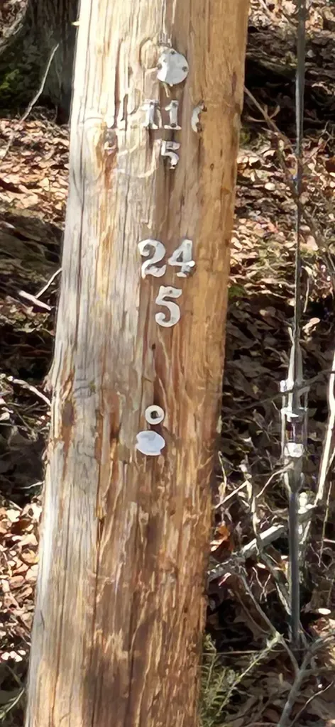 20-46 Dole School House Road Washington NH 03280