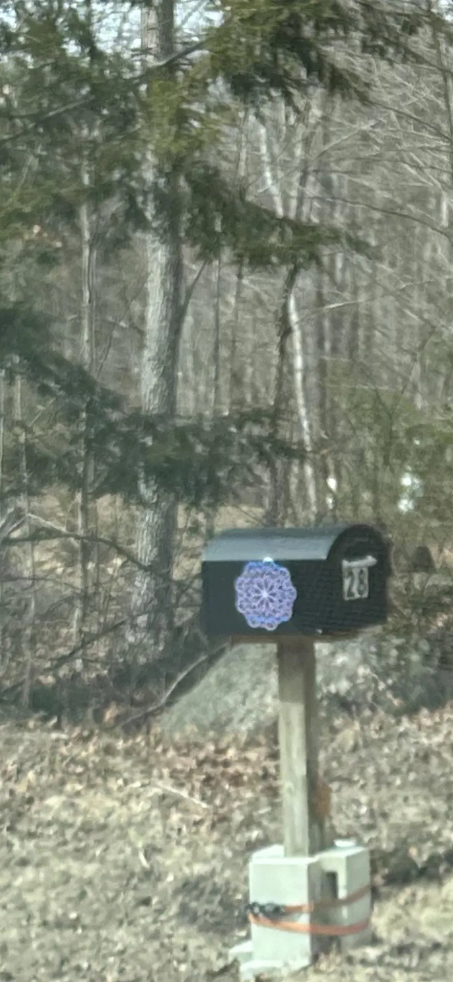 20-46 Dole School House Road Washington NH 03280