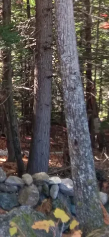 20-46 Dole School House Road Washington NH 03280