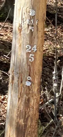 20-46 Dole School House Road Washington NH 03280